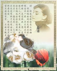 当爱消逝时,情感变迁的深刻反思