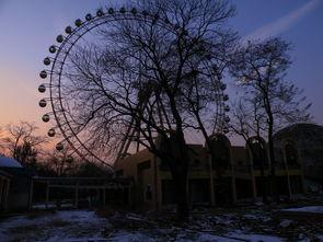 乐园影像,梦幻世界里的奇幻之旅