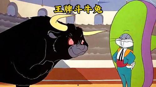 兔子和公牛,探寻动物世界的和谐共舞